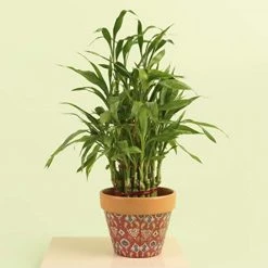 Chumbakdesign Decor & Living Tribal Dawns Planter- Red