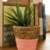 Chumbakdesign Springtime Bonding Planter - Pink