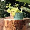 Chumbakdesign Rooted In Style Plant Holder - Teal Decor & Living