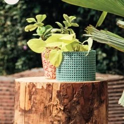 Chumbakdesign Rooted In Style Plant Holder - Teal Decor & Living