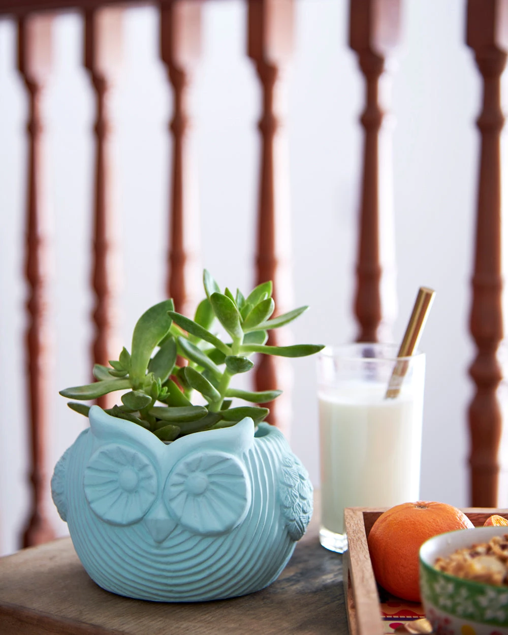 Chumbakdesign Owl Planter - Cement - Teal 8 Chumbakdesign Owl Planter - Cement - Teal