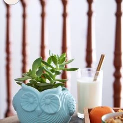 Chumbakdesign Owl Planter - Cement - Teal