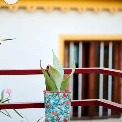 Chumbakdesign Bucket List Hanging Pot Holder- Medium