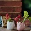 Chumbakdesign Garden Decor Lotus Leaf Planters-Set Of 2