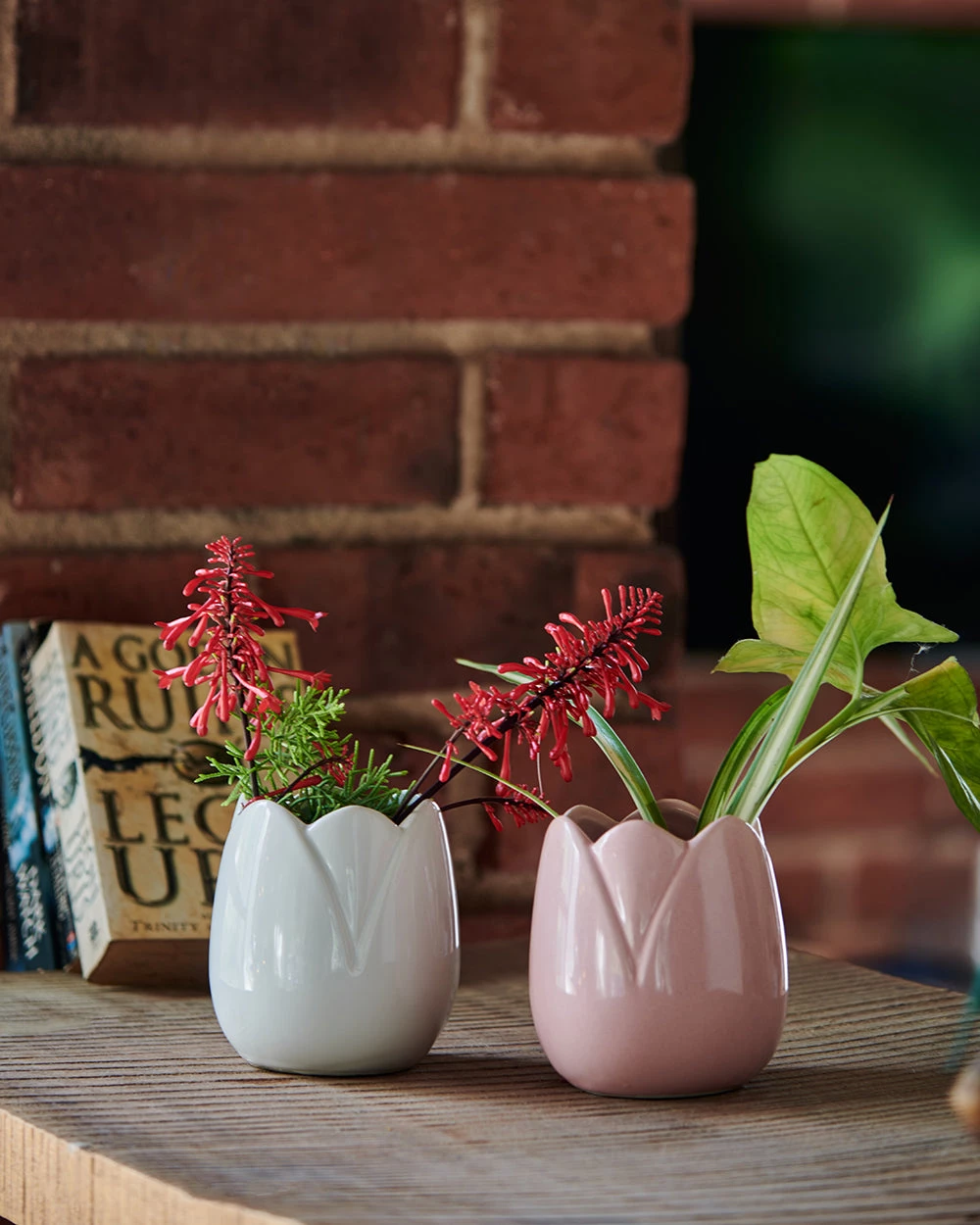 Chumbakdesign Garden Decor Lotus Leaf Planters-Set Of 2 3 Chumbakdesign Garden Decor Lotus Leaf Planters-Set Of 2