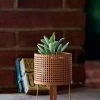 Chumbakdesign Plant Lady Metal Planter