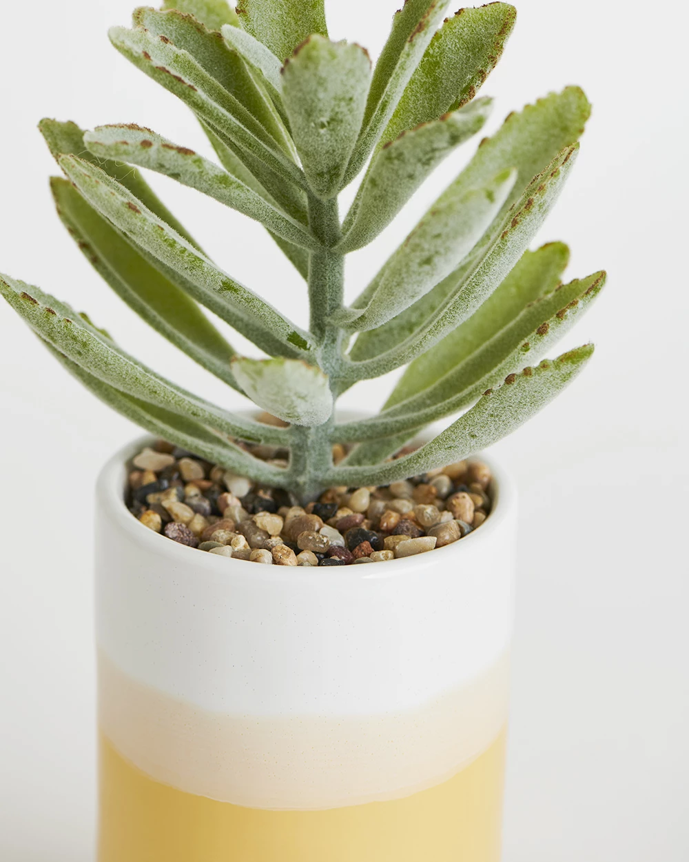 Chumbakdesign Decor & Living Sunrise Faux Planter - Yellow 6 Chumbakdesign Decor & Living Sunrise Faux Planter - Yellow