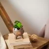 Chumbakdesign Decor & Living Succ-oink-ulants In Bloom Faux Planter - Brown