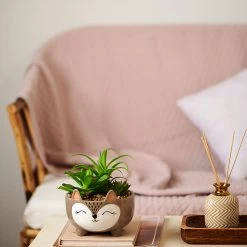 Chumbakdesign Decor & Living Purr-fect For Indoors Planter - Brown