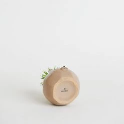 Chumbakdesign Hopping Around Faux Planter 8 Chumbakdesign Hopping Around Faux Planter