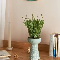 Chumbakdesign Tribal Tattoo On My Neck Faux Planter - Green Decor & Living